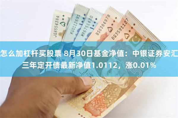 怎么加杠杆买股票 8月30日基金净值：中银证券安汇三年定开债最新净值1.0112，涨0.01%